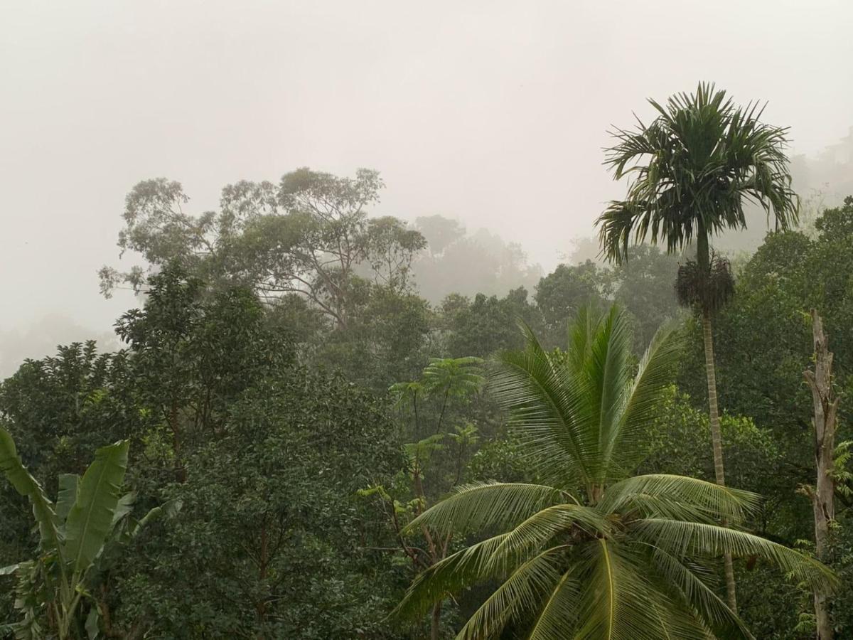 Jungle View Cottage Ella Exterior photo